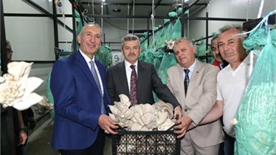 Küçük Resim